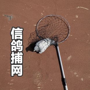Aluminum Alloy Pigeon Net, Pigeon Catching Net, Telescopic Pole Net, Racing Pigeon Catching Net, Ultra-Light Portable Net