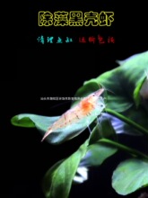 �ښ��r���w�坍�rˮ�������Bƿ�����r�^�p�r�����r���w��Ϲ��S��