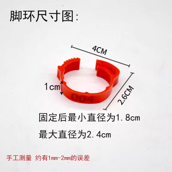 adjustable universal ankle bracelet