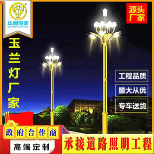 Huateng factory direct supply led Chinese lamp magnolia lamp 6 meters 8 meters 10 meters 12 meters road Chinese lamp magnolia lamp