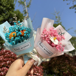 ����С��������õ�������ɻ��M����mini�ֹ������������˹����ֶY