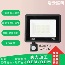 投光灯;泛光灯;路灯