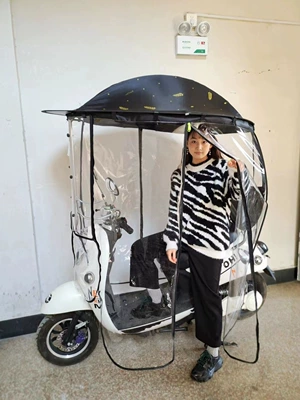 Electric Vehicle Canopy Sunshade: Elektromobil üçün ön şüşə çətiri (günlük) - stainless-steel-fully-enclosed-model-black