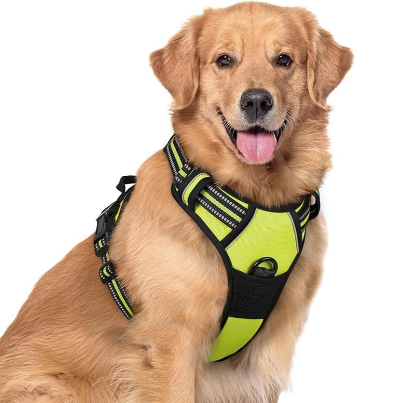 Corda de perro grande chaleco de pelo dorado correa de pecho anti-explosión Labrador Doberman cadena de cuerda de tracción de perro