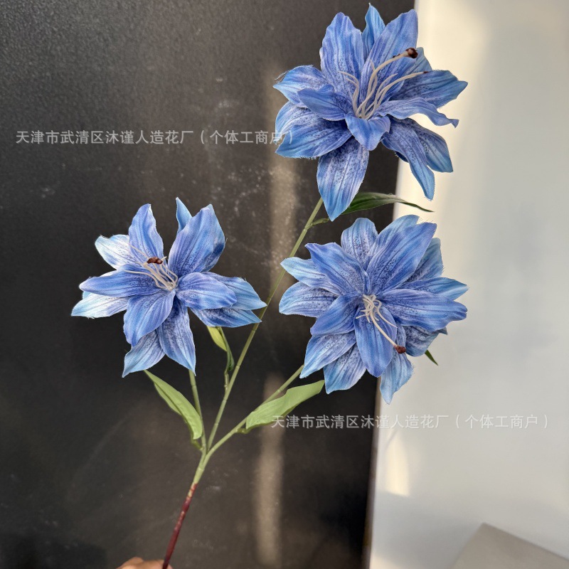 3D 사유리