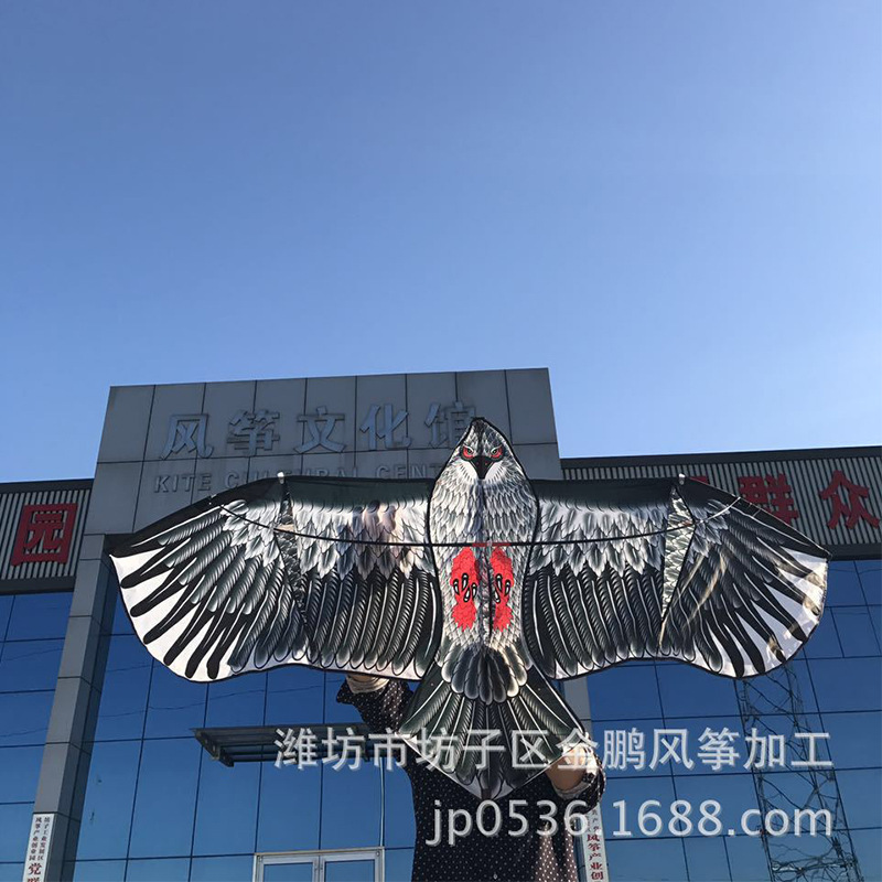 イ坊凧の新型の格子布のタカの包頭のタカの凧は鳥を驚かして多色のメーカーの卸売りをします。|undefined
