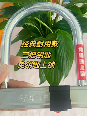Keyless Electric Car Lock, Motorcycle Lock