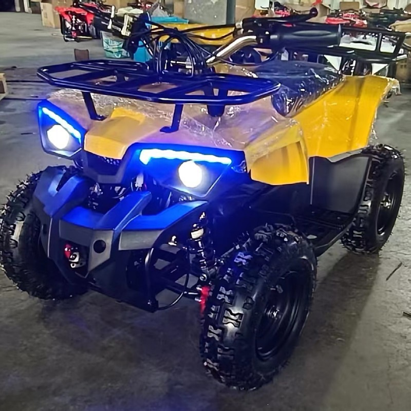 Little Warrior Atv, Electric Start 49Cc All-Terrain Four-Wheel Atv for Children's Park Entertainment and Rental Use