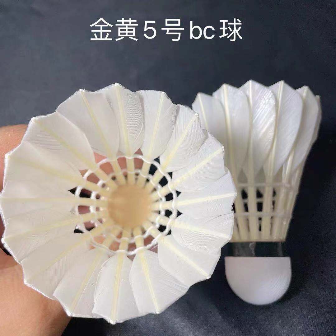 H6N Badminton 12-Pack, Stable Flight and Durable, Cost-Effective for Amateurs to Train and Compete