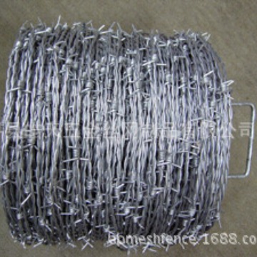 镀锌铁蒺藜丝网14#刺绳线双股拧边 防盗围栏养殖防护刺绳
