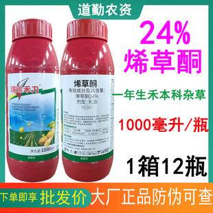 �̵�ϩ��ͪϡ���~ϩ�ݞ�ϩ���~ϣ��ͪ�Ͳ��������݄�ţ���