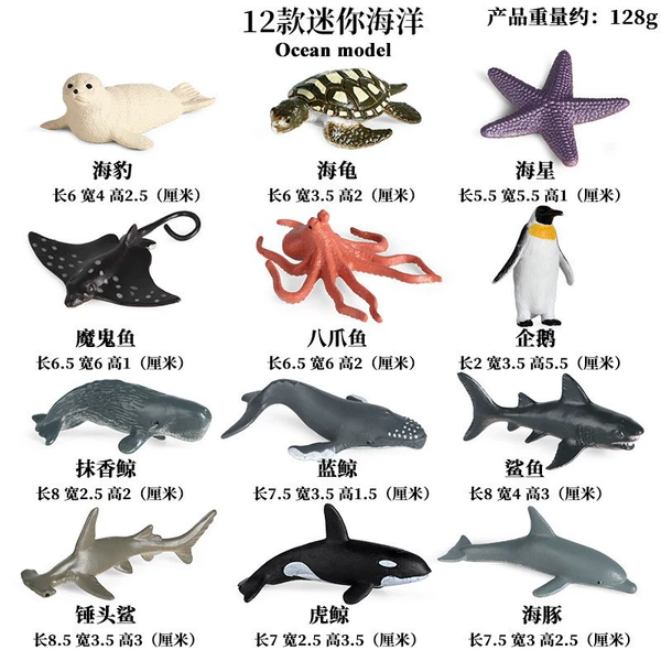 【TBS050】 Little Ocean 12 sets