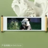 Panda 234