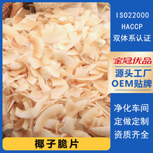 椰子脆片源头工厂直销海南特产椰子片椰肉片整件批发蜜饯休闲零食