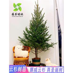 �ɼ�������}�Q�ɘ�Ų���ɼ�e��ͥԺ�ͺ����������L����������