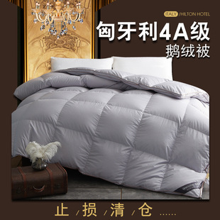 Hilton & Resorts Hotel Down Quilt 95 White Goose Down Quilt Spring Autumn Winter Core Quilt Two in One