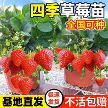 ļݮͼtݮNֲݮԮY玧