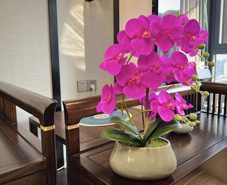 b9953182-d812-4702-8e1d-0bd4b1be70f0.jpe