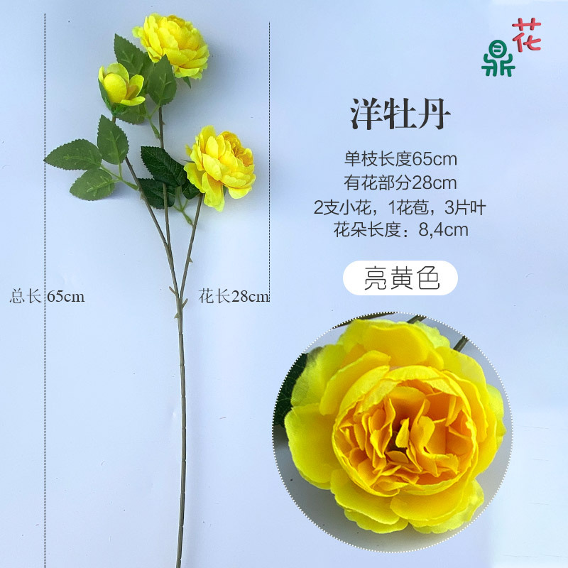 Hoa mẫu đơn màu vàng tươi