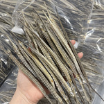 海龙批发大号淡干六角海龙海产干货泡酒煲汤中药材滋补品