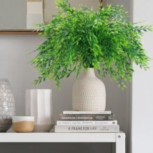 �羳���R�d����ֲ�����~�����ٗl���ϻ��Gֲ�ڒ�����҃ȵ��m�b�