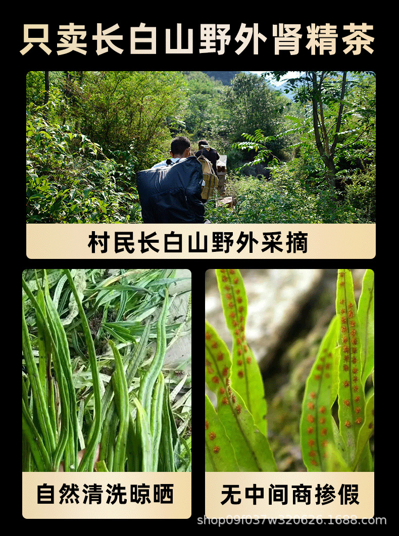 Wild Small Leaf Orthosiphon Kidney Tea Mao Xu Cao Dried Herb for Daily Herbal Infusion 250g key features