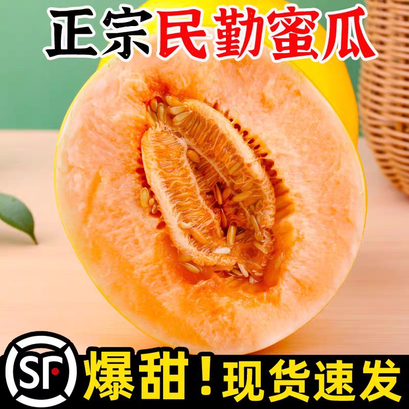 民勤蜜瓜甘肃民勤沙漠蜜瓜黄河哈密瓜甜瓜水果新鲜民勤黄金蜜瓜