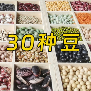 ���x30�N�s���M���b���ȫ���N����ճ������϶��������s�Z