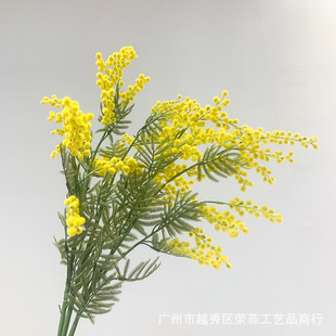 3��� ���������Ϛg�ٻ�ë�q��˼�����滨�Ҿ��b�c���̲廨
