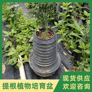 �Gֲ���ԷNֲ�ظ��� �Ҿ���ľ�B�o�ܘ�䘶���� ���ֲ��������