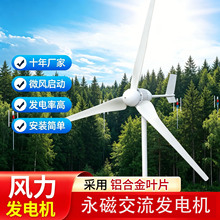 �S�ҹ���ˮƽ�S800W1kw2kW�L���l늙C�L�⻥�aϵ�y����·��������