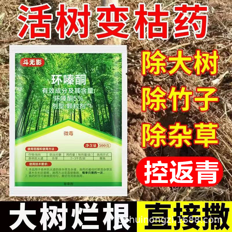 环嗪酮高浓度灭树药杀大树杀竹子杂竹净灌木藤蔓灭竹药除草剂烂根