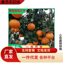 �޽ӟo��ɰ�ǽۘ����������۽۸��ٹ������ȫ�Ϸ��Nֲ����Y��