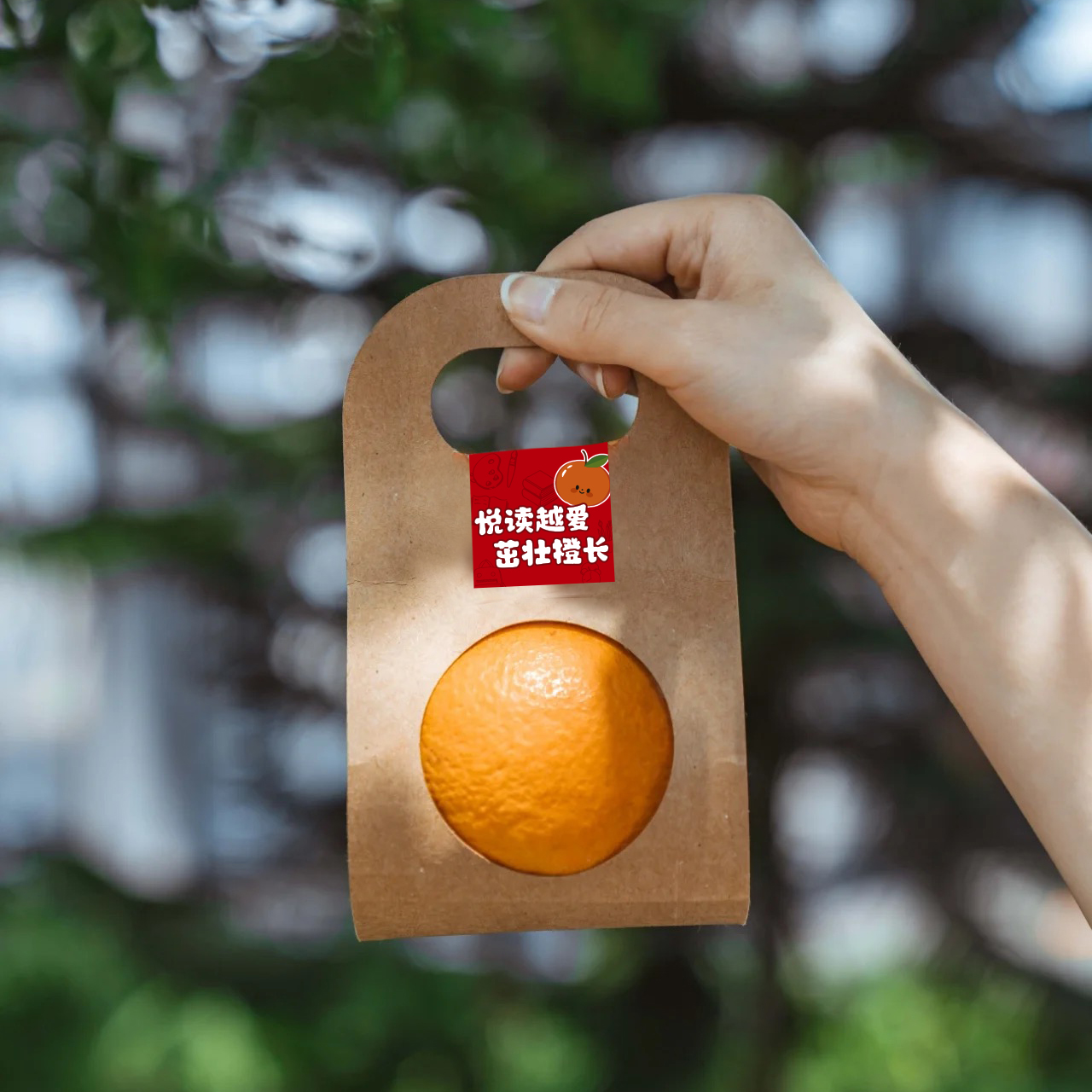 Naranja, manzana, caja de frutas, regalo de jardín de infantes, fruta, regalo de mano, reunión anual de productos agrícolas, regalo de cartón