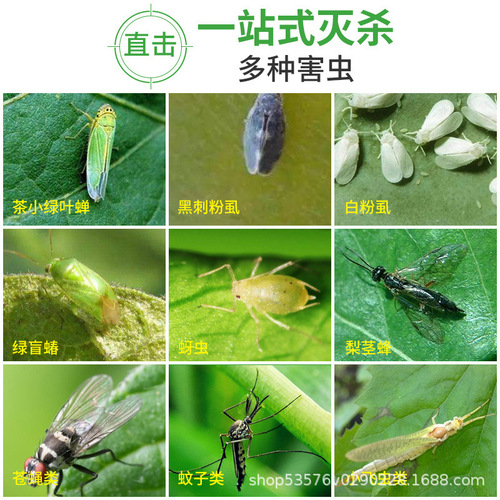 Sticky insect board yellow board double-sided insect trap board sticker kill small flying insects dipped in fruit fly trap orchard mosquitoes fly greenhouse