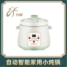 全自动家用陶瓷养生煲汤锅电炖锅婴儿辅食锅炖粥锅快速熬粥电炖盅