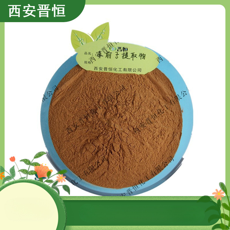 车前子提取物 比例提取水溶车前子粉 另有车前子壳提取物   现货