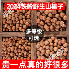 大榛子东北特产新鲜铁岭原味野生臻子炒熟开口坚果无添加干果新货