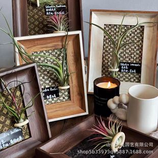 Air Pineapple Photo Frame Ins Decorative Painting Can Be Customized Office Soft Decoration Soilless Plant Ornaments Living Room Bedroom Table