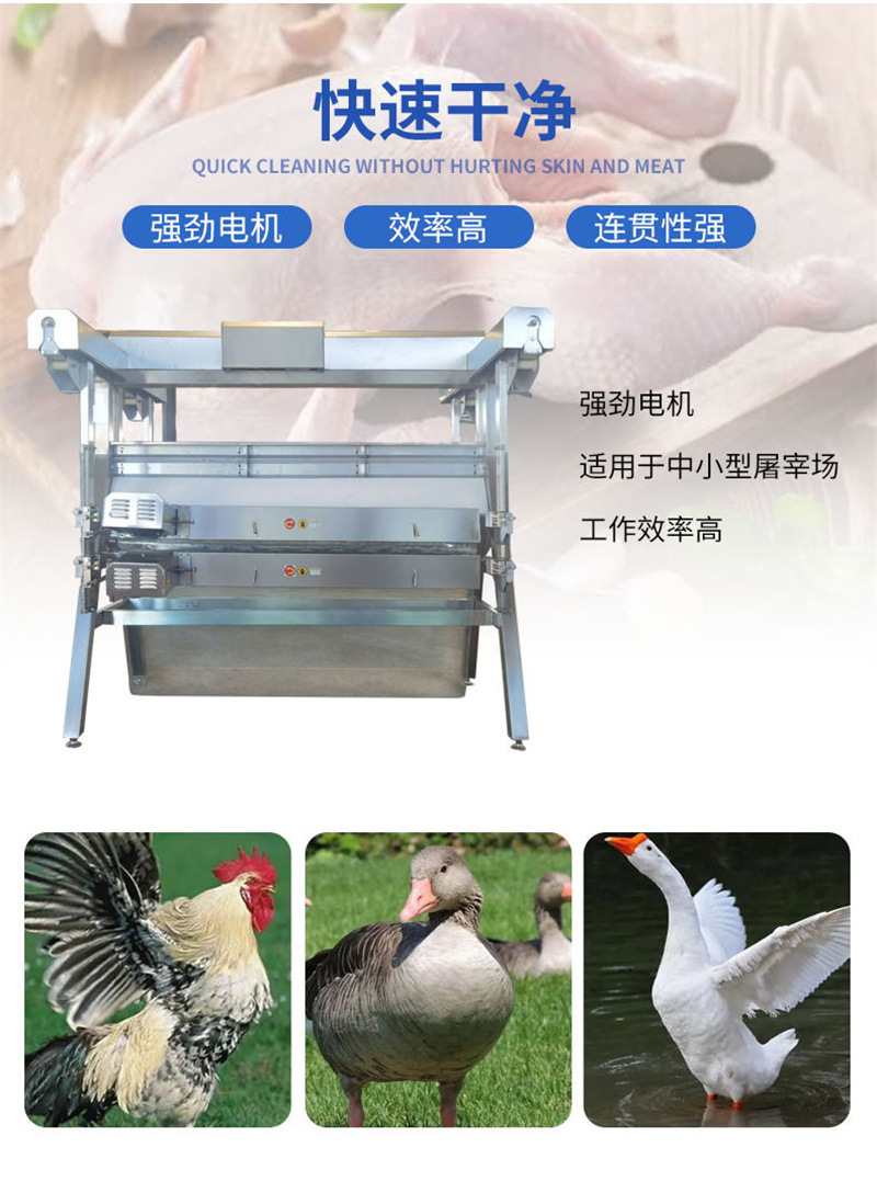 立式脫毛機詳情_03