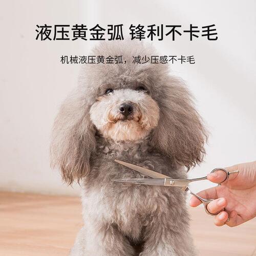Pet Grooming Scissors Professional Hair Trimming Set Curved Scissors Teeth Scissors Teddy Dog Self-Cutting Tools Wholesale
