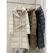 2025�����¿���|�����@�������������L���^ϥ�����q��������Ů