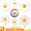 White balloon, props suitable for photo sessions solar-powered, layout, flowered, sunflower