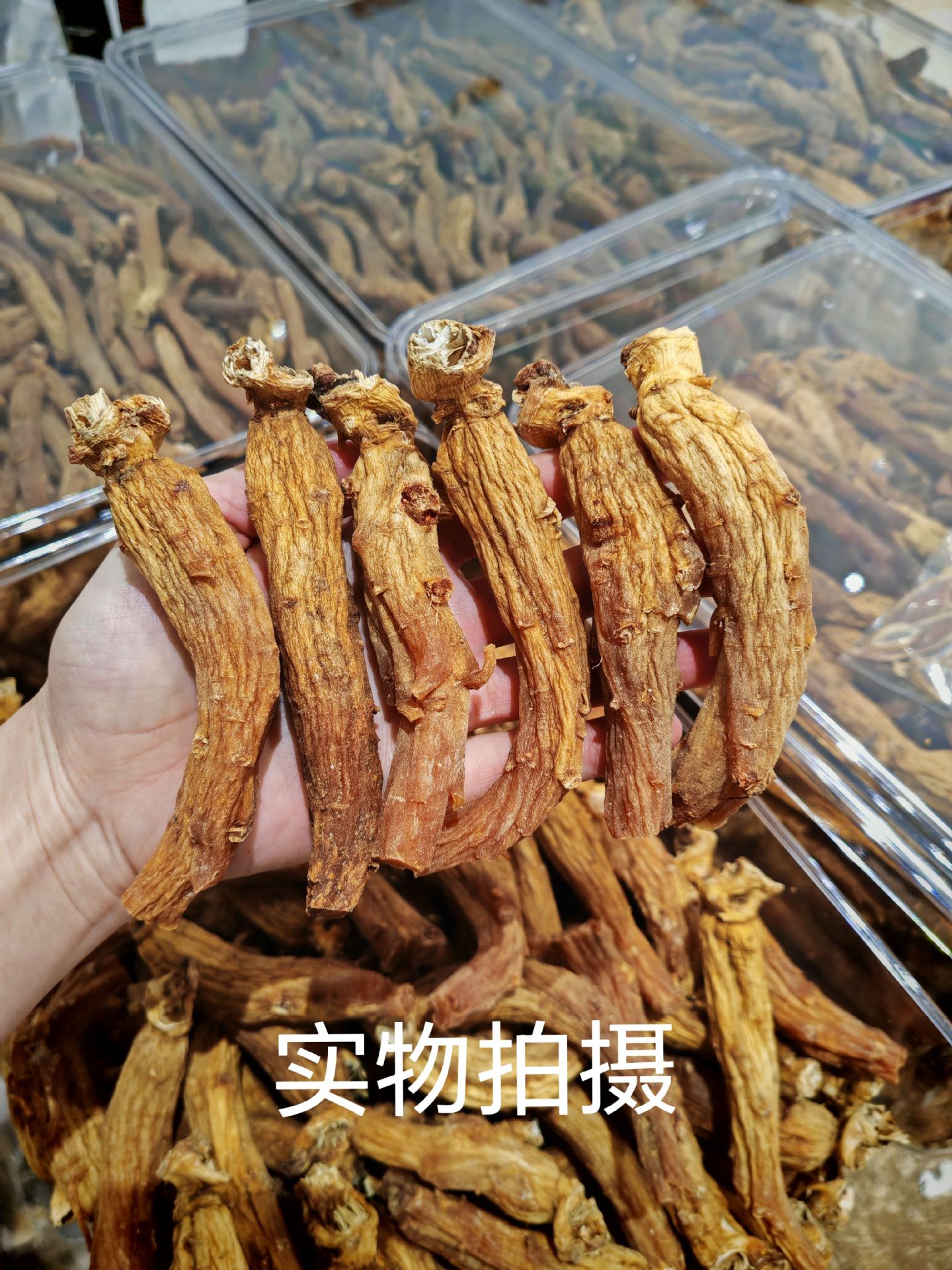 Korean Red Ginseng Goryeo Ginseng Whole Roots 250g Sugar-Free Non-Steamed Dried Panax Ginseng for Slicing Grinding and Daily Herbal Use quality and texture
