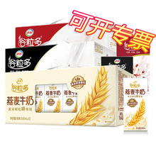 新日期yili谷粒多谷物牛奶250ml*16盒整箱學生奶營養早餐搭檔奶