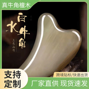 �S�����l��ˮţ�ǹ���� Ę���Ӻ�Ħ�� �^�����j��������Ժ