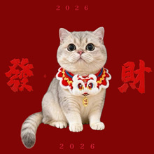 �����Ѫ{����ϲ�c���繷������؈����ؔ�{��������ˮ���Ȧ�b��