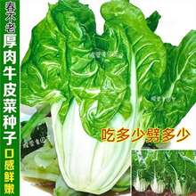 ~rۡļţƤ Ƥ˷NѸ_˷N ĴţƤ˷N