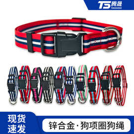 跨境新品涤纶织带项圈网络纱小中型犬调节狗项圈插扣项圈脖圈脖套