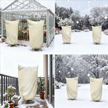 ���ƌ���ֲ������� ������ �@�־G��ͥԺֲ�����Է�������͸��